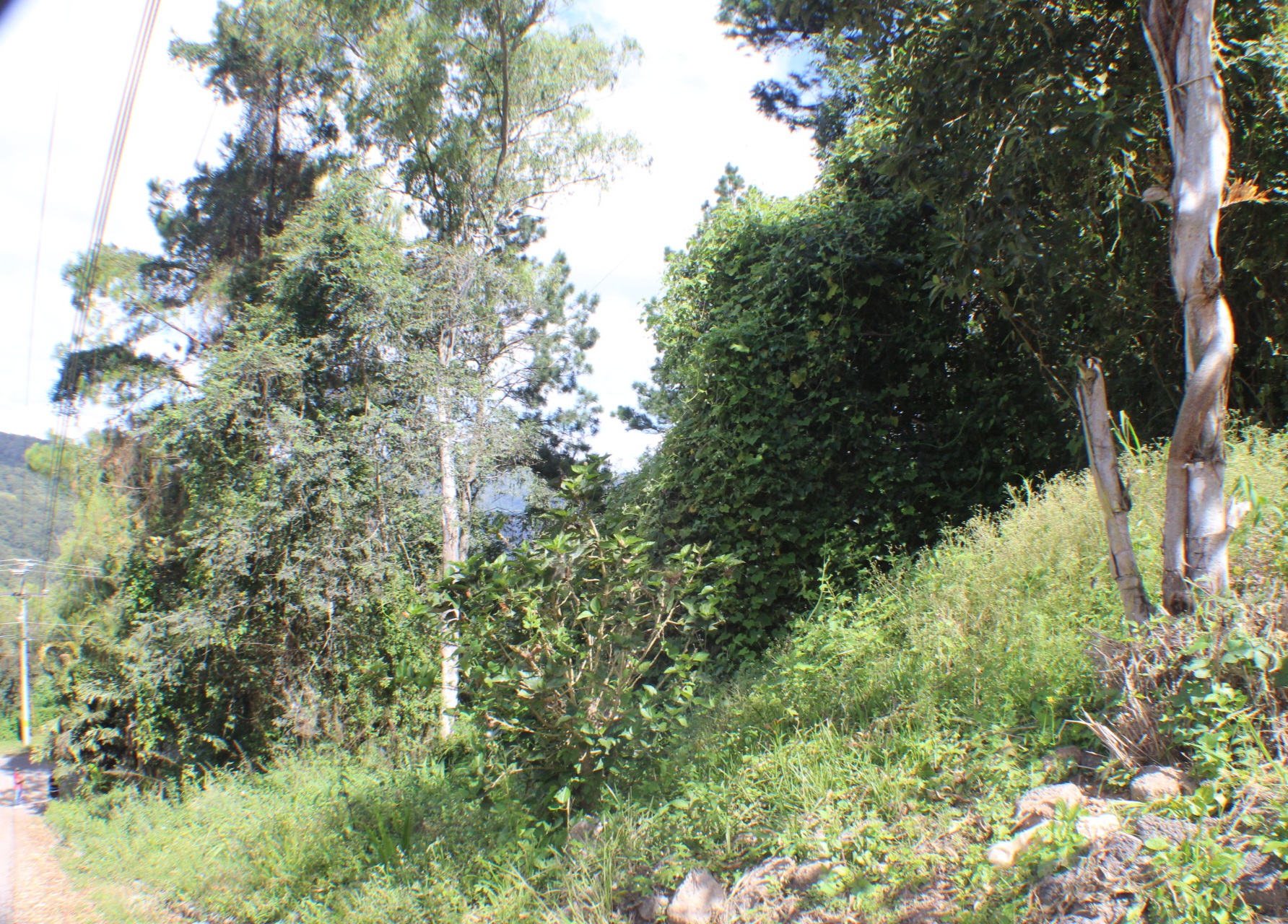 Venta: Terreno en circuito cerrado, Res. Villa Elena